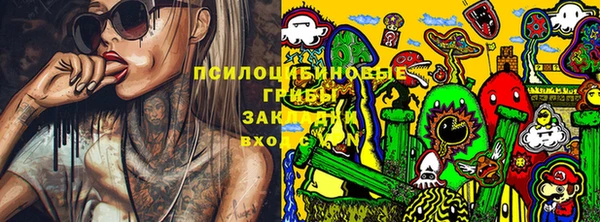 стаф Горно-Алтайск
