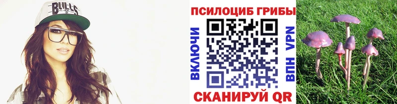 Псилоцибиновые грибы мухоморы  закладка  Лосино-Петровский 